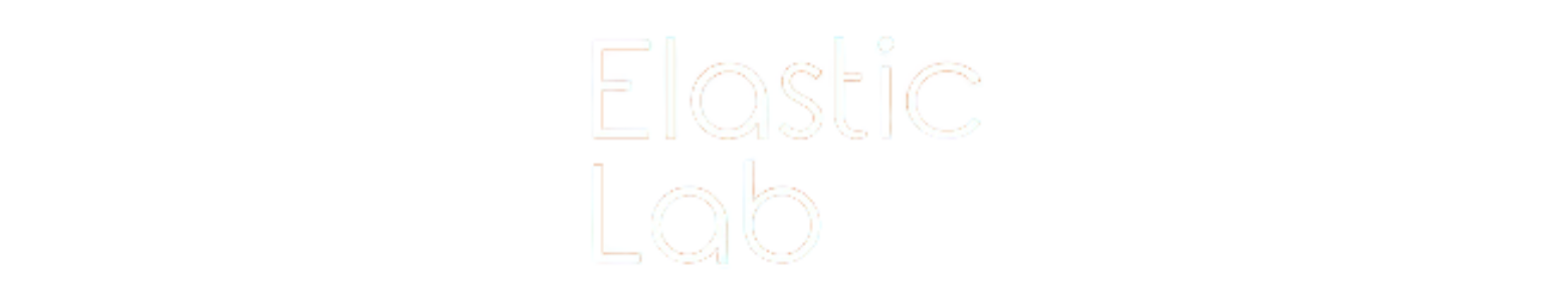 Elastic Lab